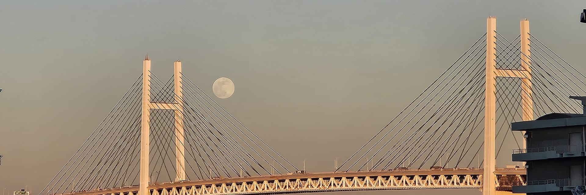 이상적인 잡덕생활